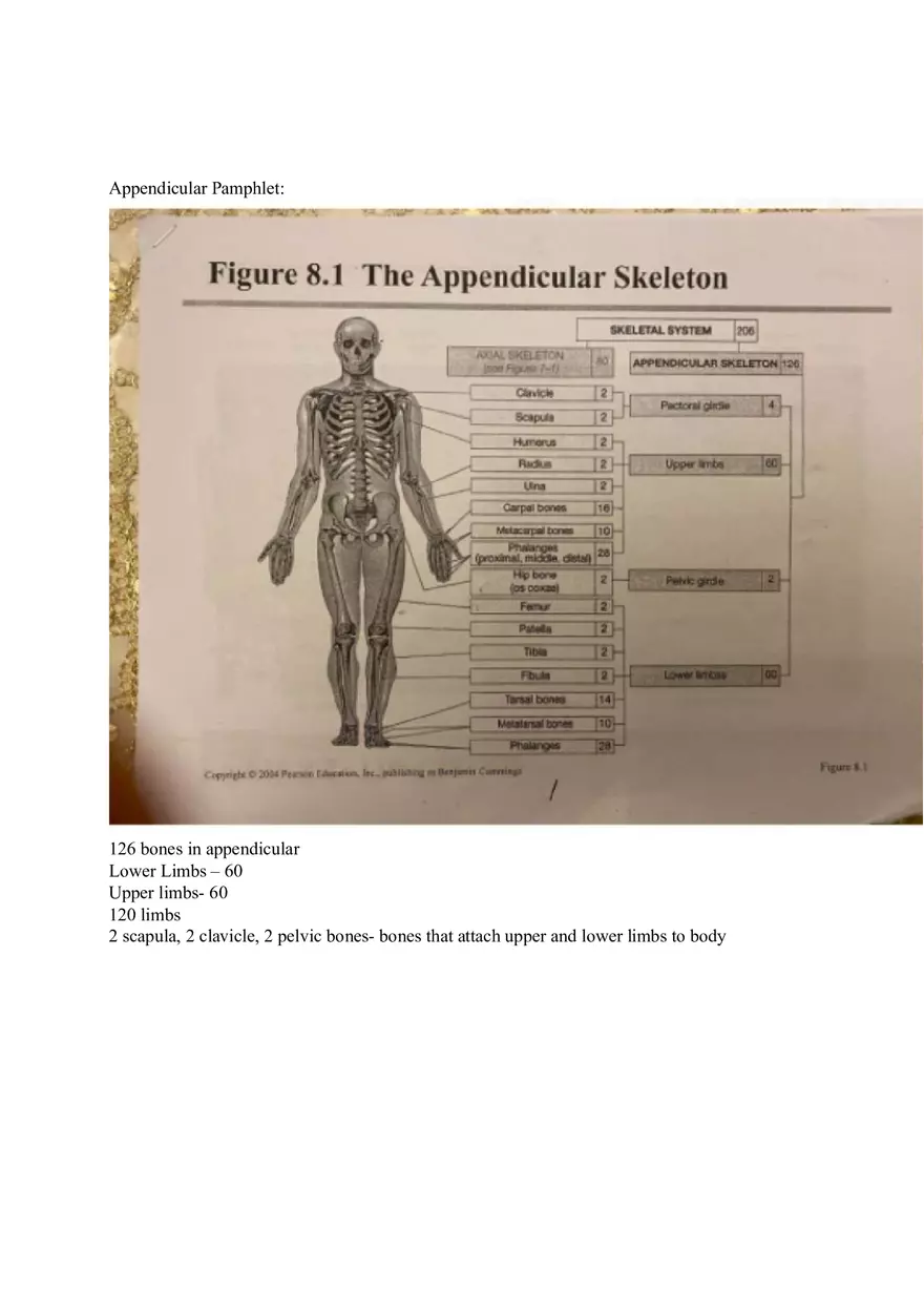 Appendicular Pamphlet Study Guide - Page 1