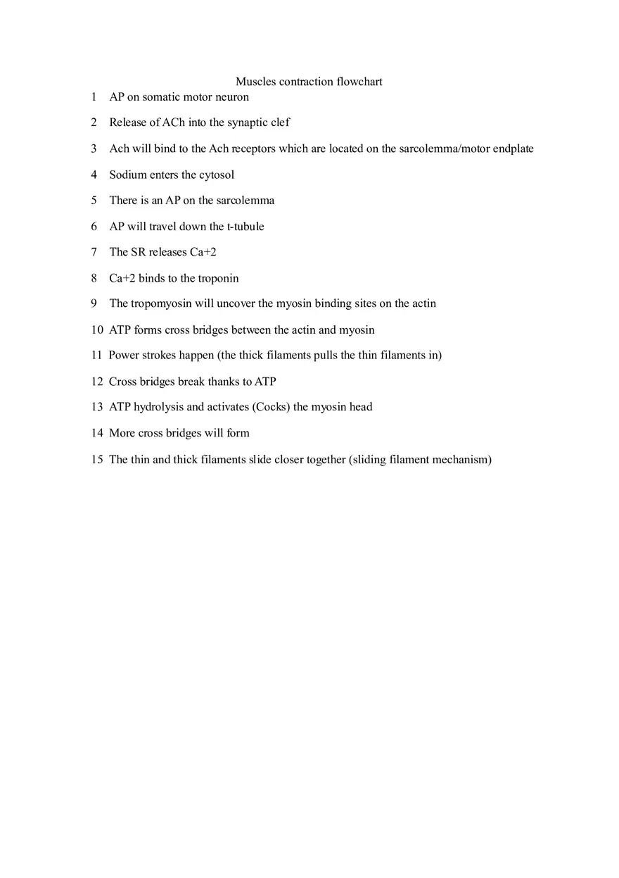 Muscles Contraction Flowchart - Page 1