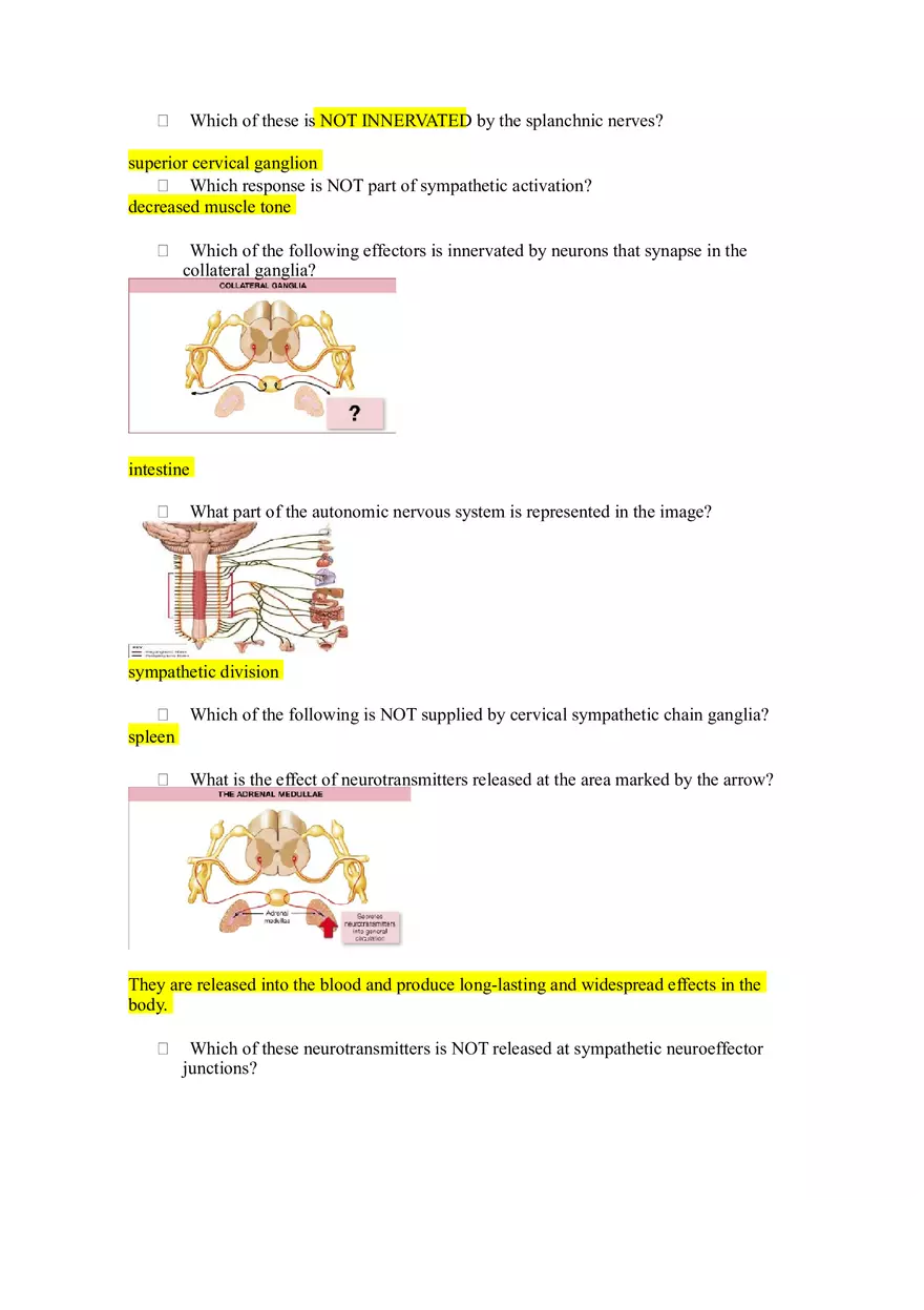 Mastering Assignment Anatomy - Page 1