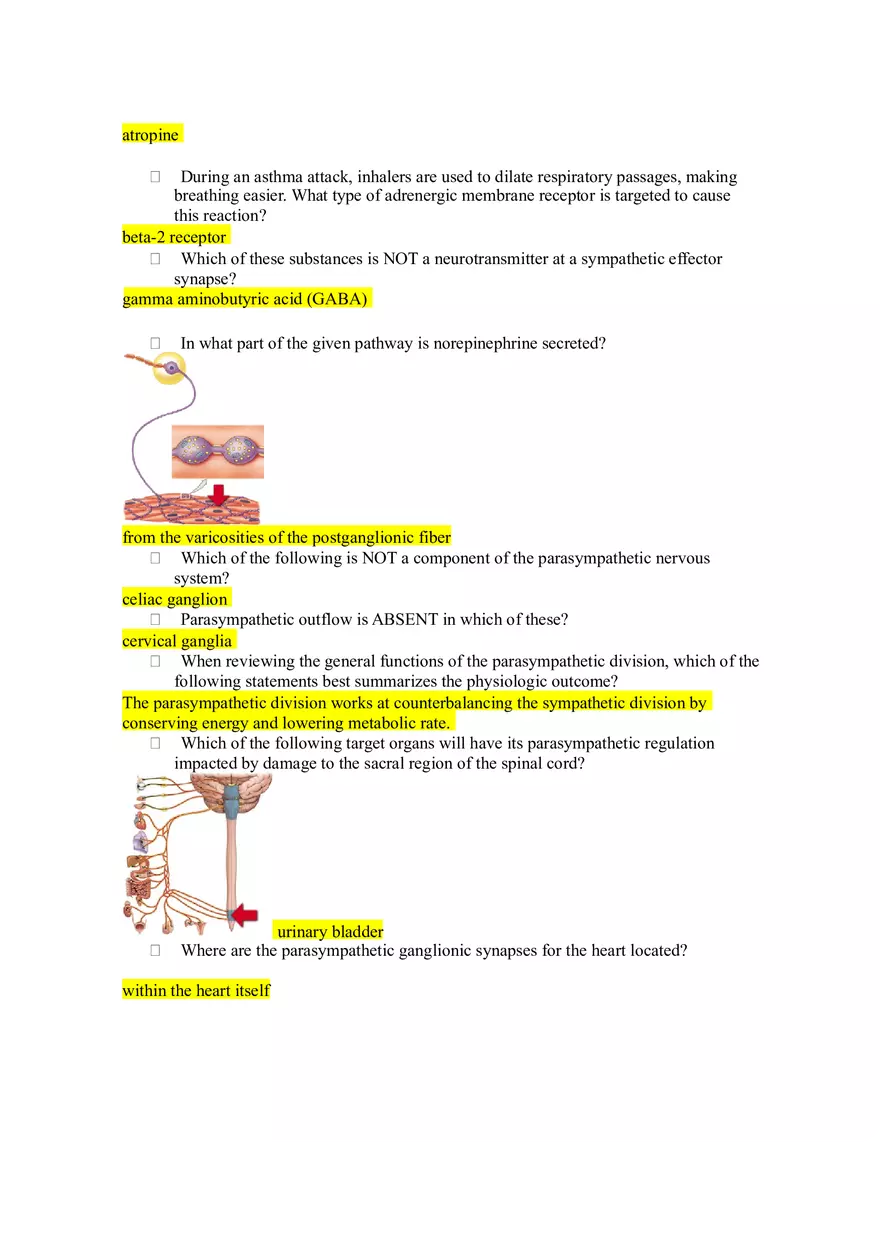 Mastering Assignment Anatomy - Page 2