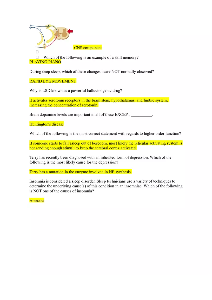 Mastering Assignment Anatomy - Page 4