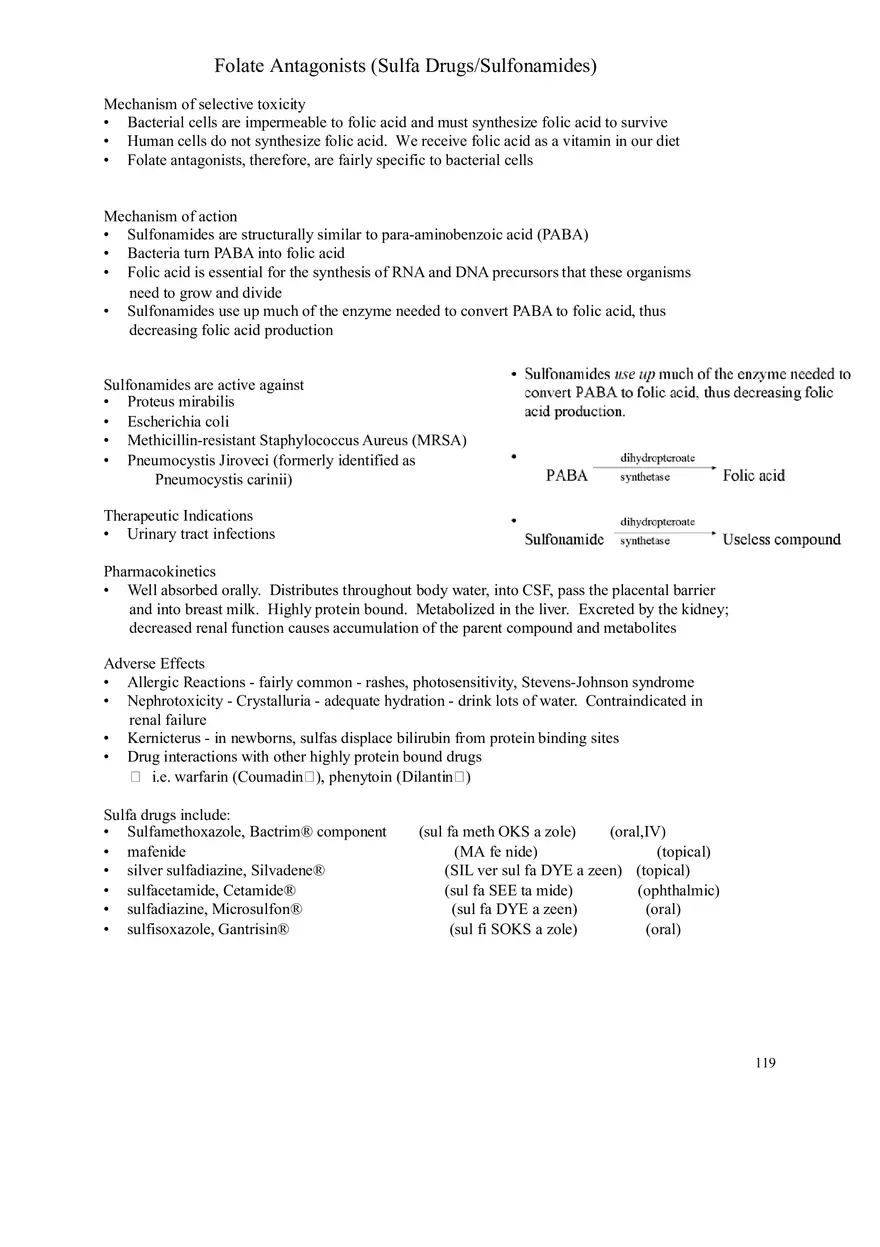 Clinical Pharmacology Study Guide (Beta-lactam Antibiotics) - Page 3
