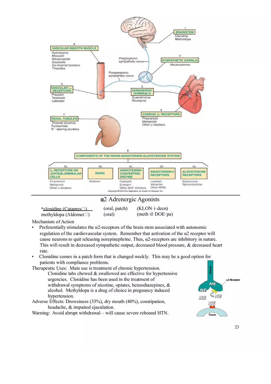 Clinical Pharmacology Study Guide (Antihypertensives) - Page 2