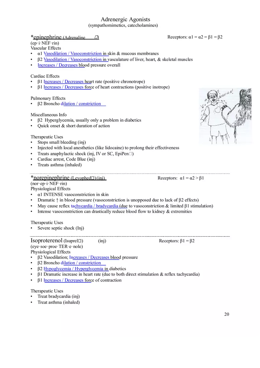 Clinical Pharmacology Study Guide (Autonomic Nervous System) - Page 8