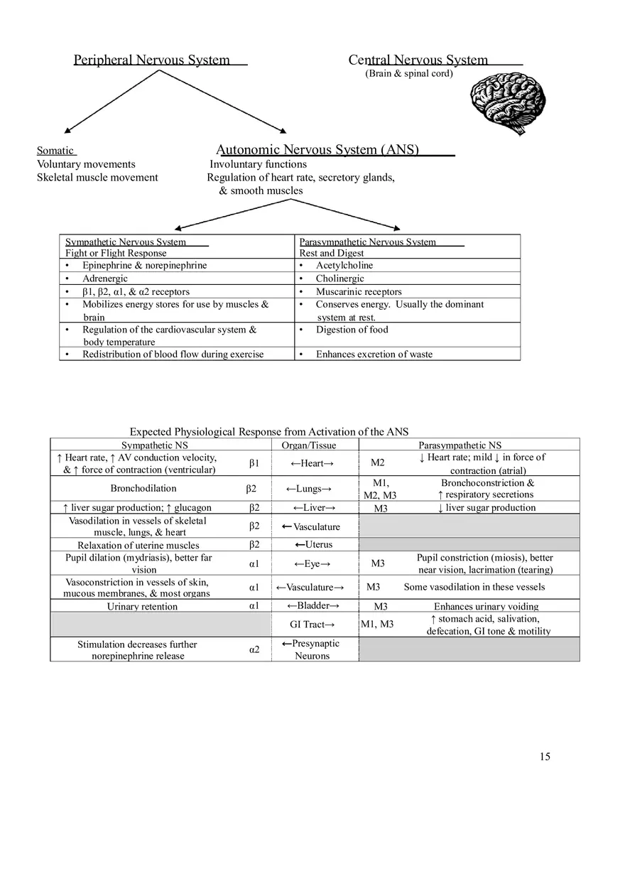 Clinical Pharmacology Study Guide (Autonomic Nervous System) - Page 3