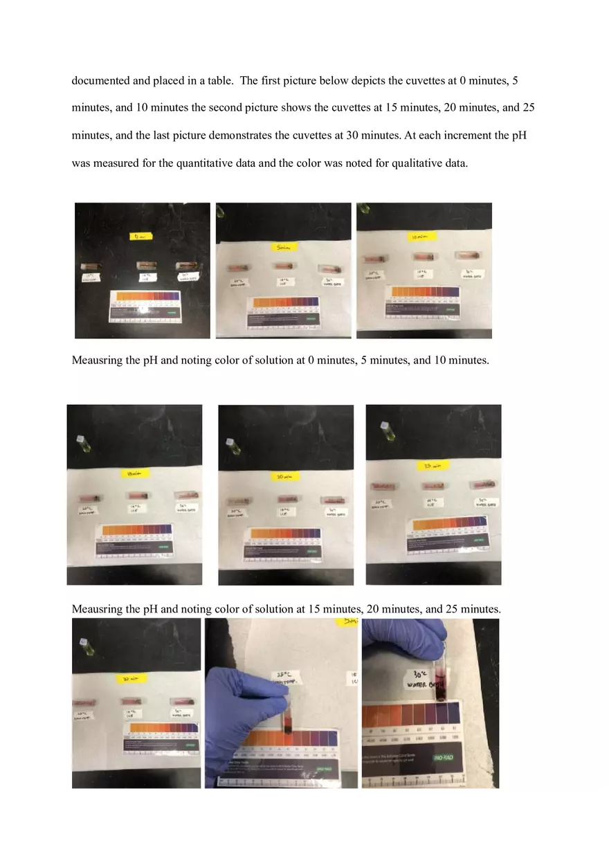 Photosynthesis Lab Report - Page 4