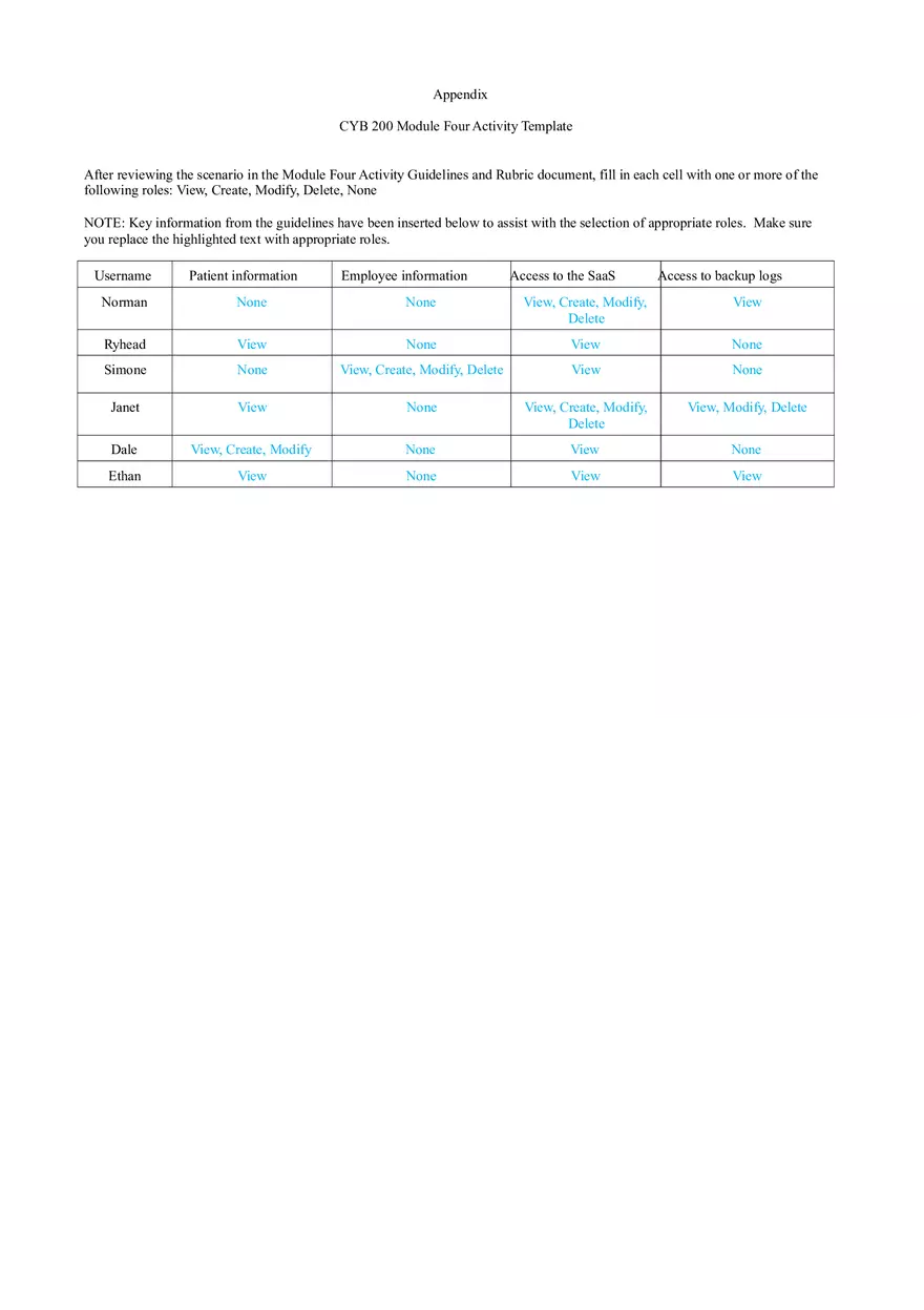 Role-Based Access Control (RBAC) Matrix - Page 3