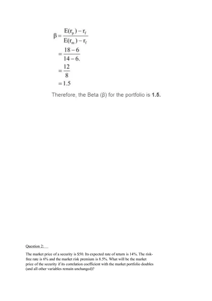 Capital Asset Pricing Model (Part 1) - Page 2