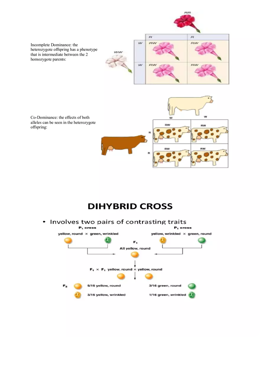 Nature and the Process of Science - Page 4