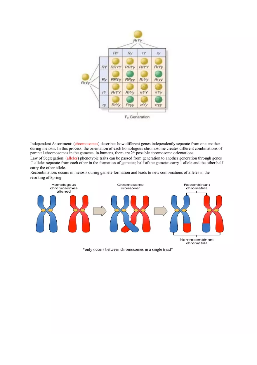 Nature and the Process of Science - Page 5
