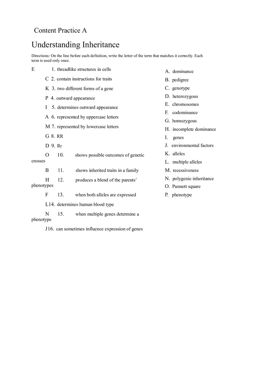 Understanding Inheritance Lesson Outline Answers - Page 2