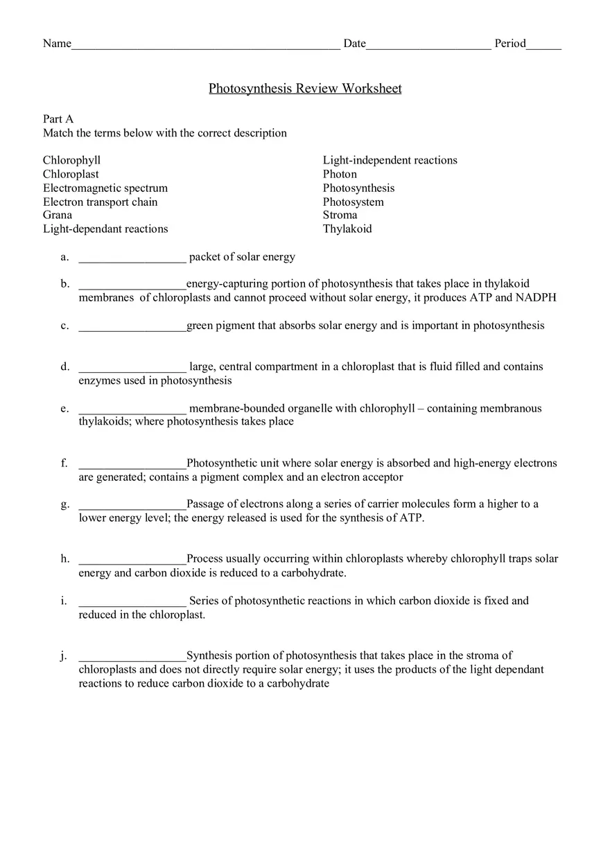 Photosynthesis Review Worksheet - Page 1