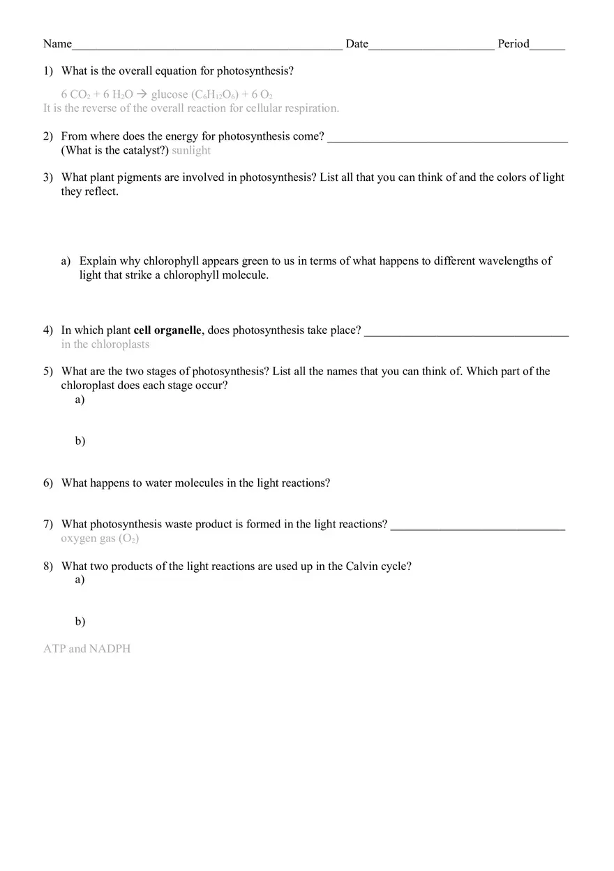 Photosynthesis Review Worksheet - Page 2
