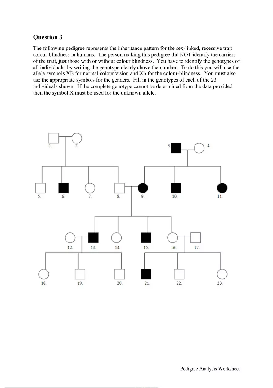 Pedigree Analysis Worksheet - Page 5