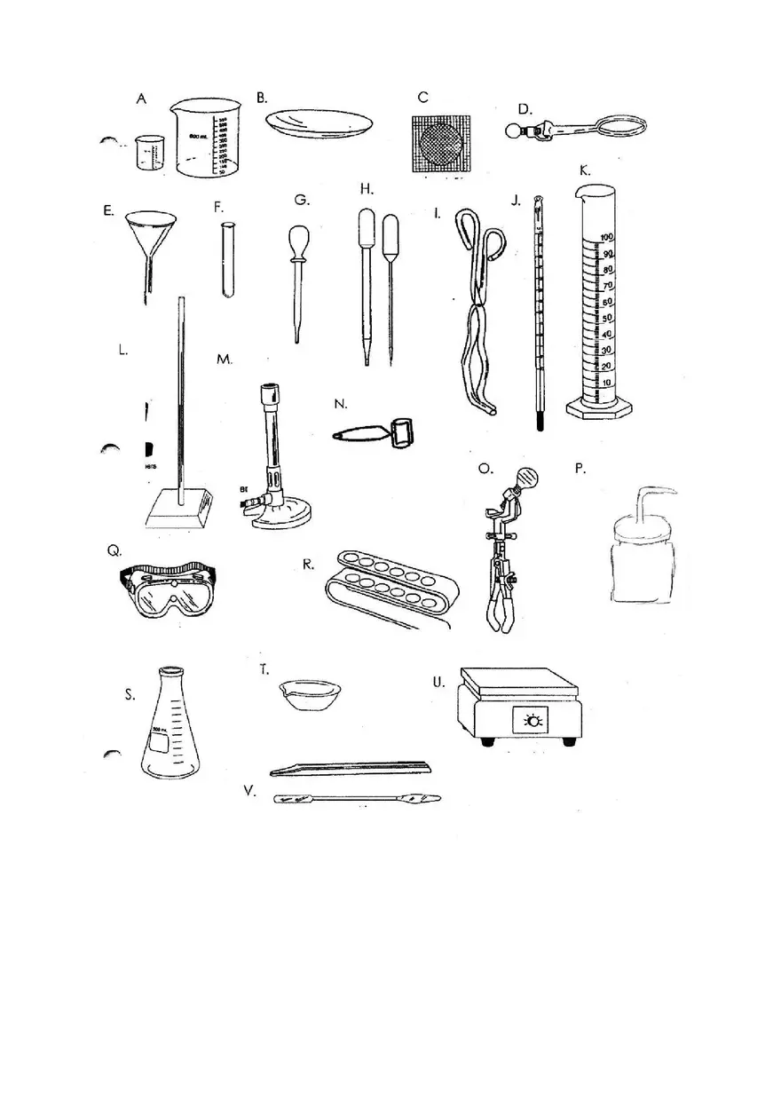 Lab Equipment Activity - Page 3