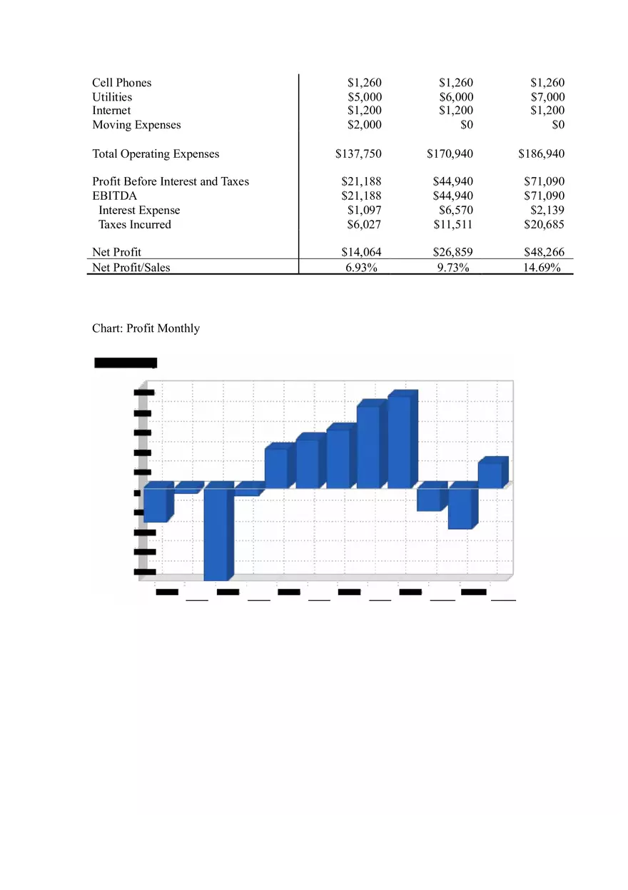 PC Repair Business Plan Part II - Page 11