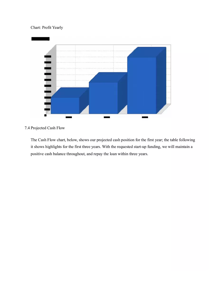 PC Repair Business Plan Part II - Page 12