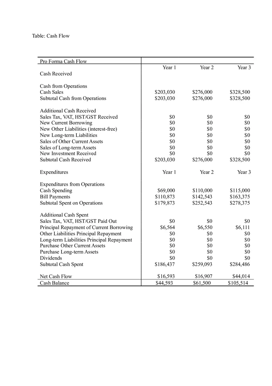 PC Repair Business Plan Part II - Page 4