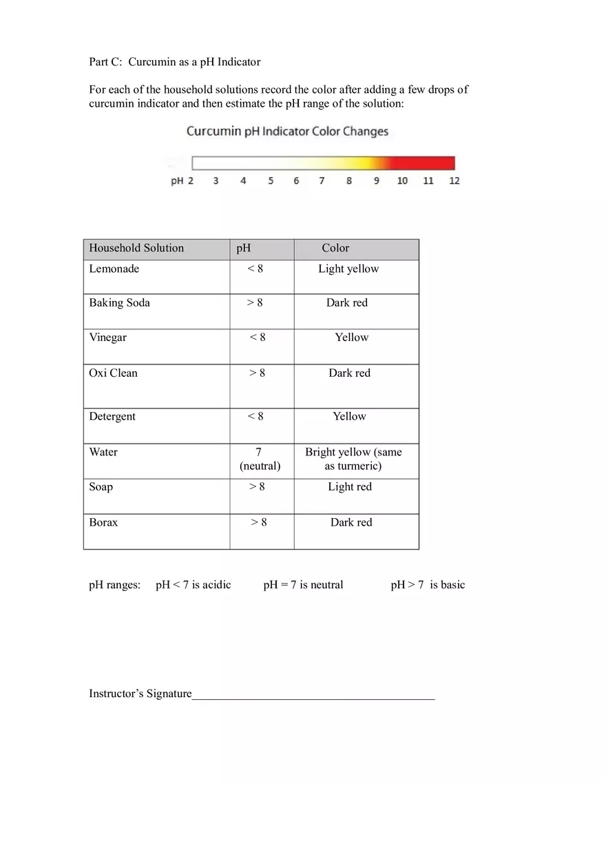 Curcumin Extraction Data and Results Entry Form - Page 3