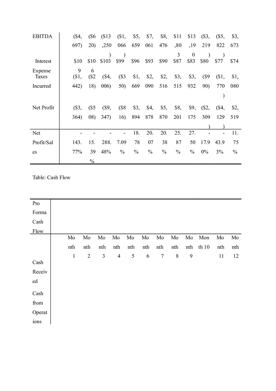 PC Repair Business Plan Part III - Page 4