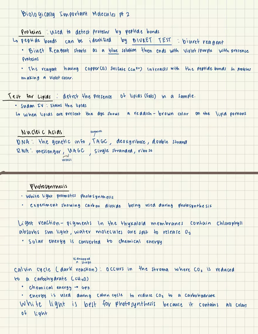 Biology Lab Metric System - Page 7