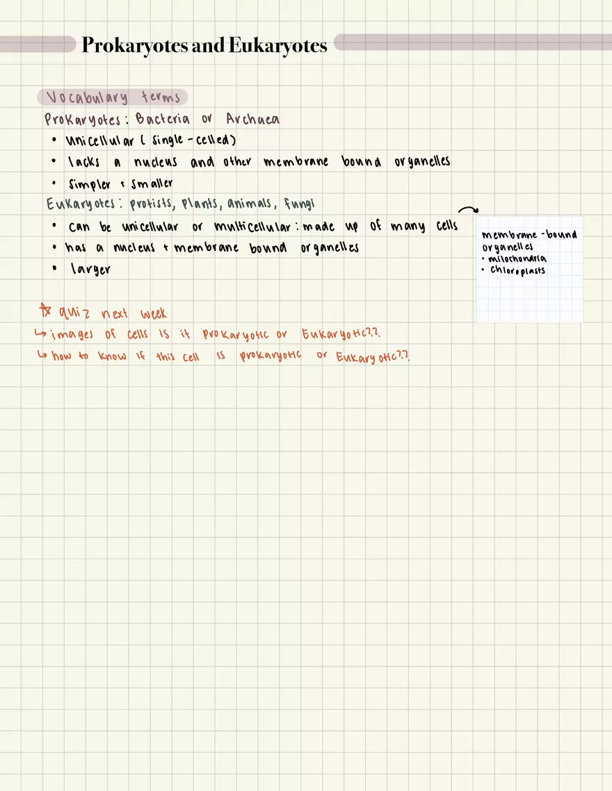 Biology Lab Metric System - Page 3