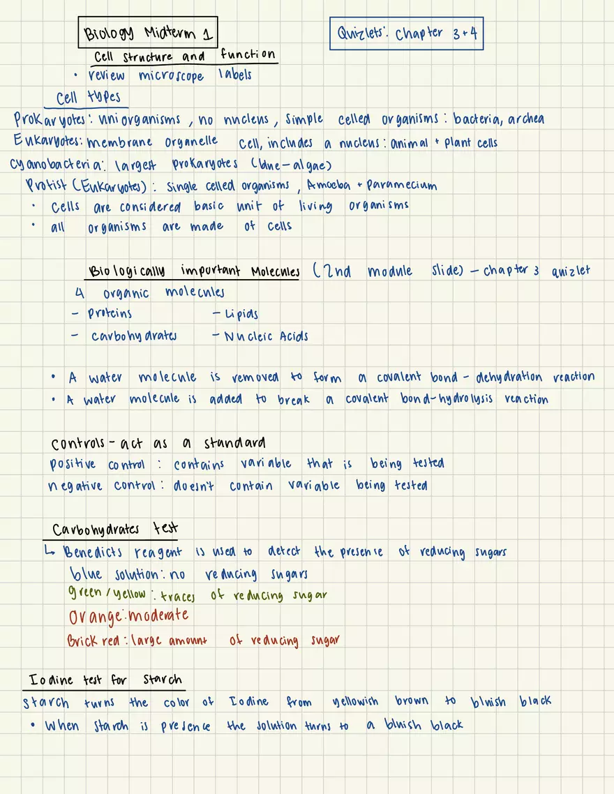 Biology Lab Metric System - Page 6