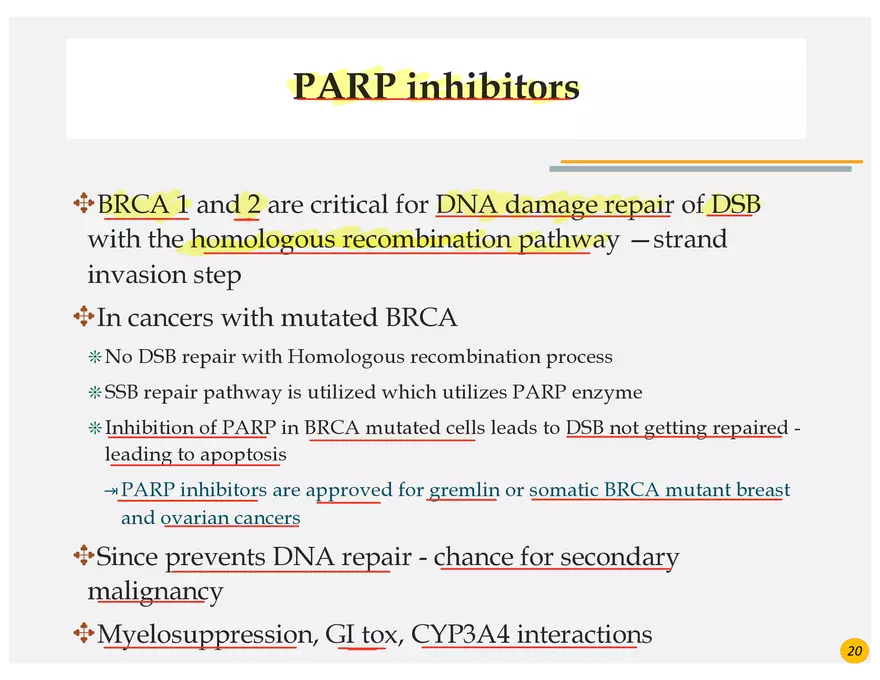 Ovarian Cancer Presentation - Page 6