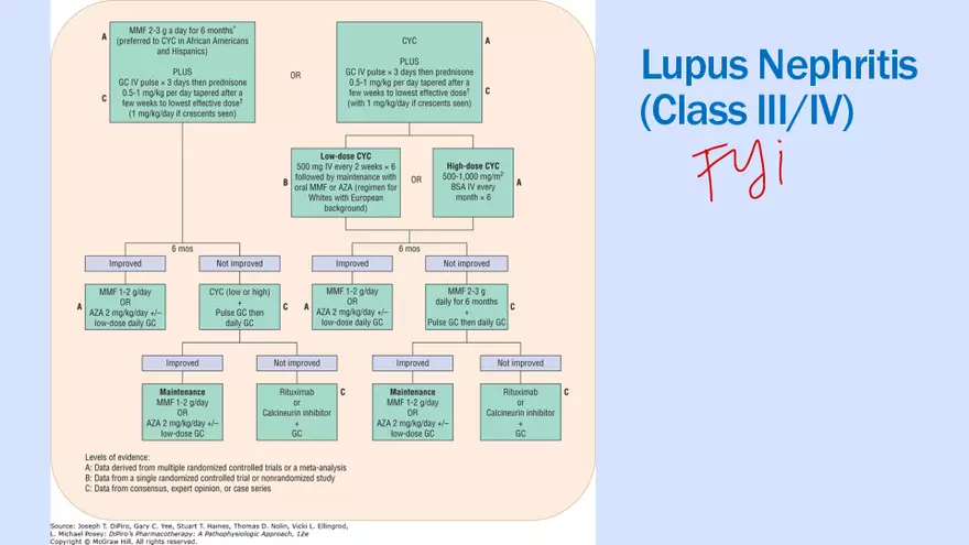 Systemic Lupus Erythematosus - Page 25