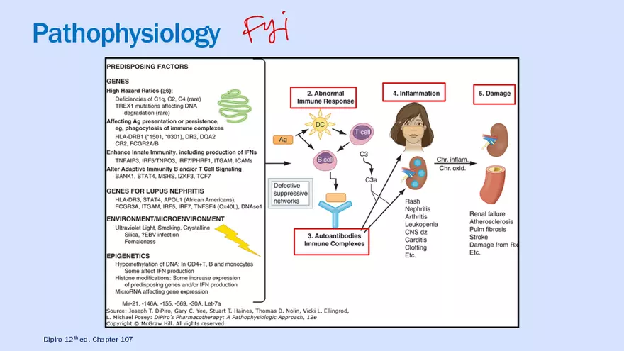 Systemic Lupus Erythematosus - Page 35