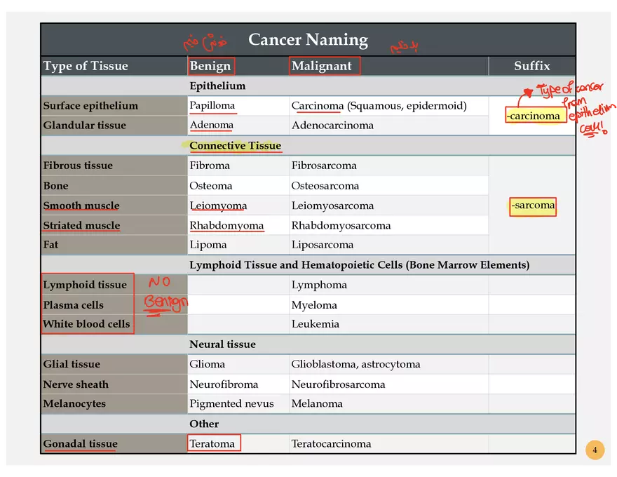 Oncology Terminology - Page 13