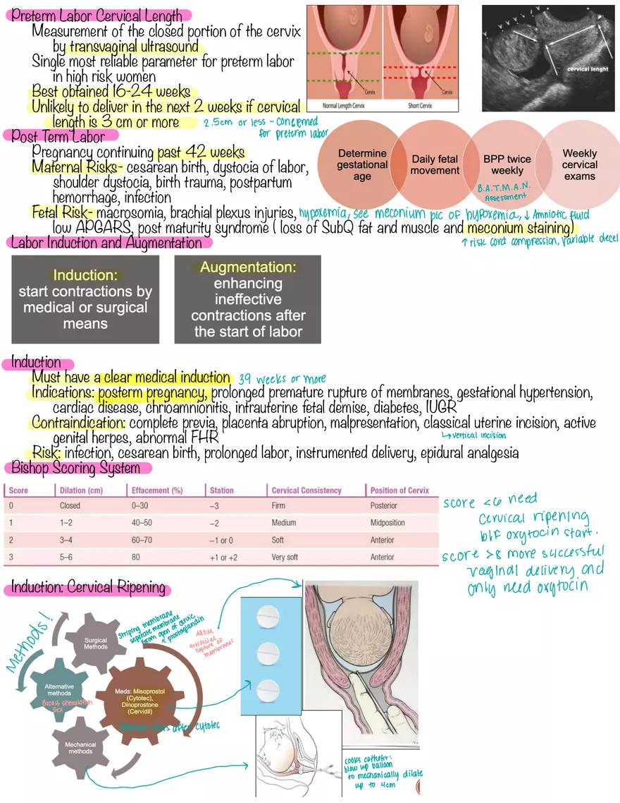 Chapter 21: Obstetrical Emergencies - Page 4