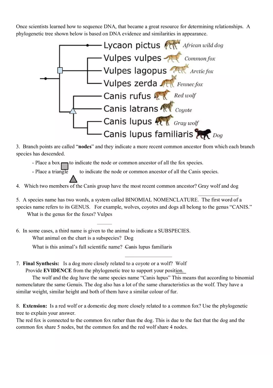 Investigation Is a Dog More Closely Related to a Coyote or a Wolf - Page 2