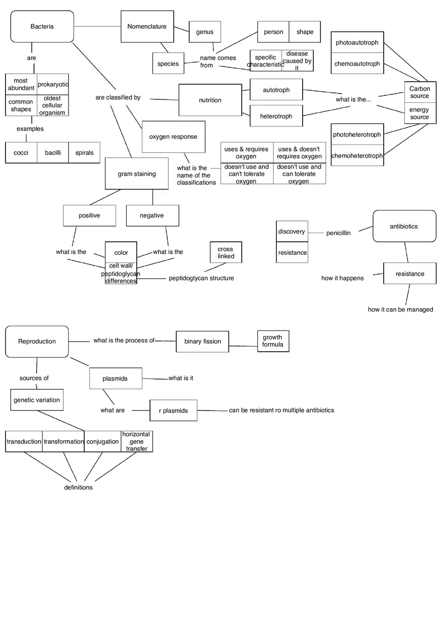 Bacteria Concept Map - Page 1