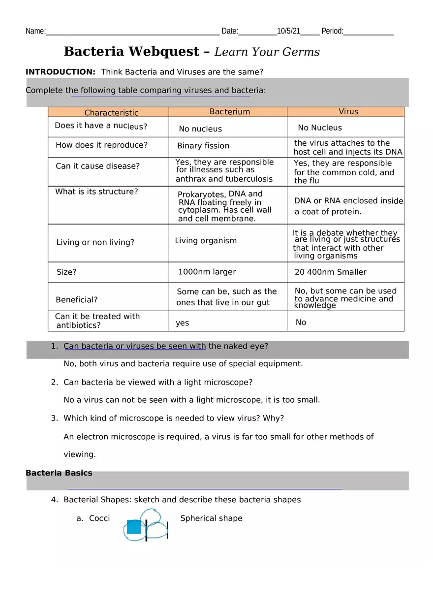 Bacteria Webquest - Page 1