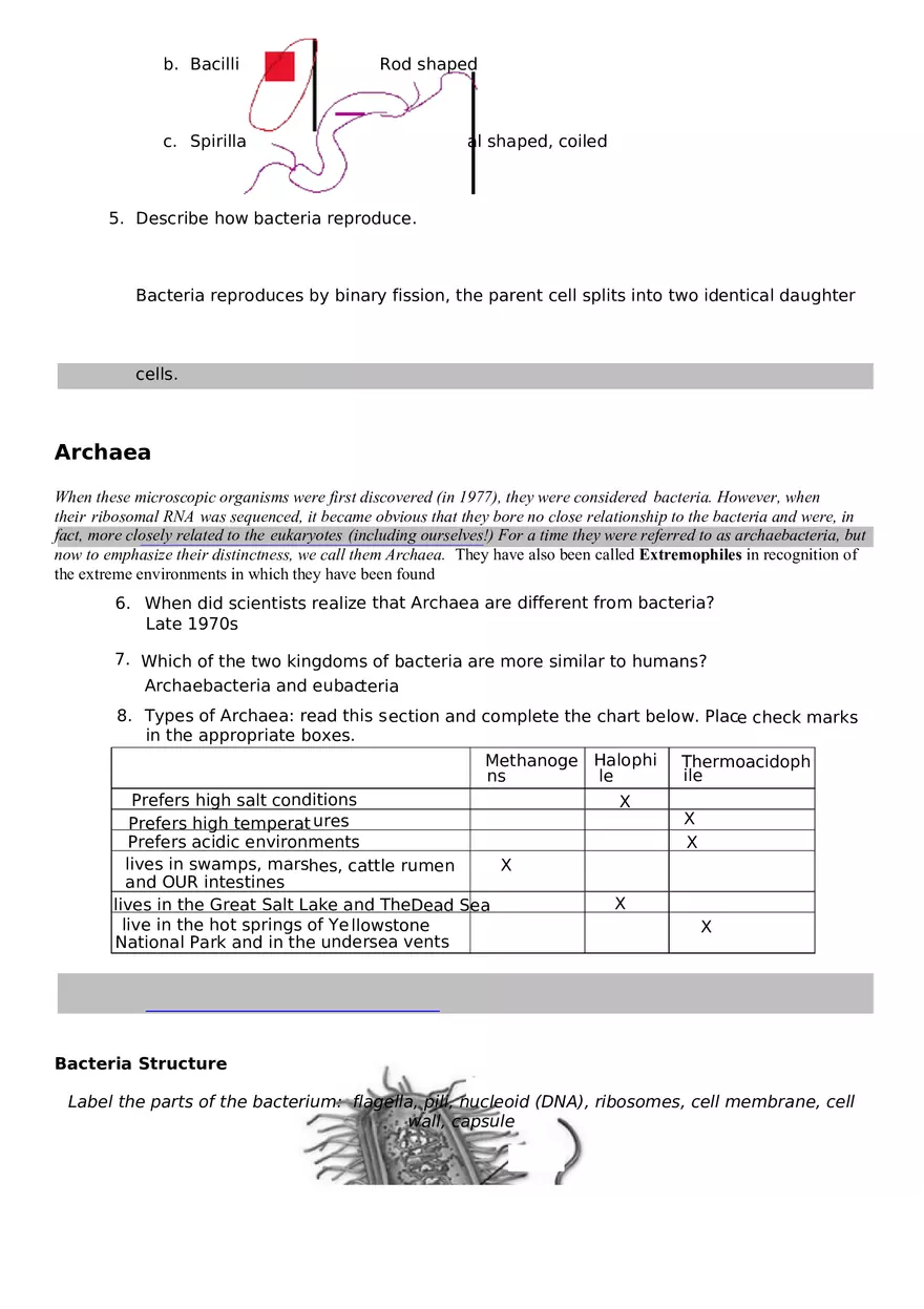 Bacteria Webquest - Page 2