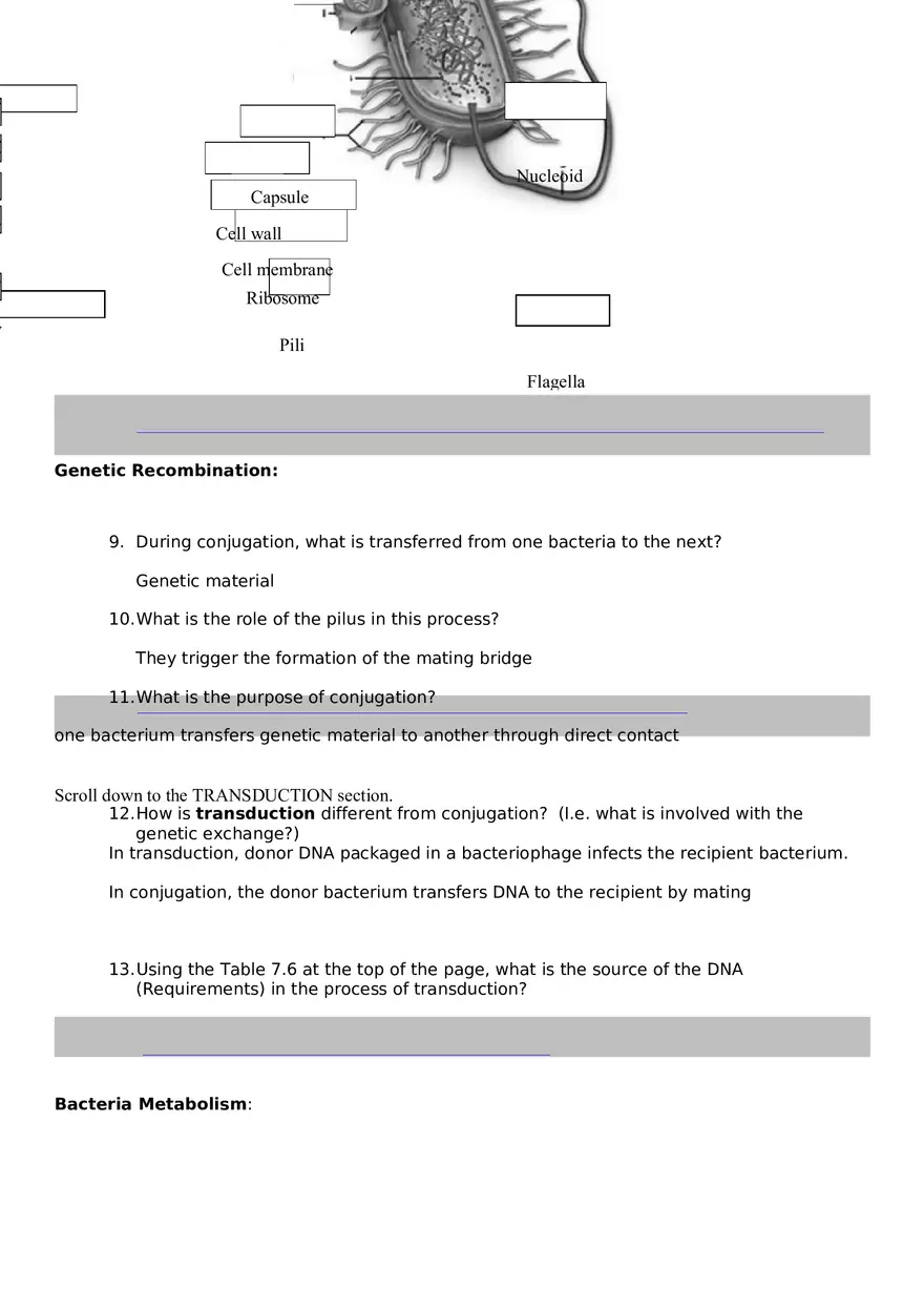 Bacteria Webquest - Page 3