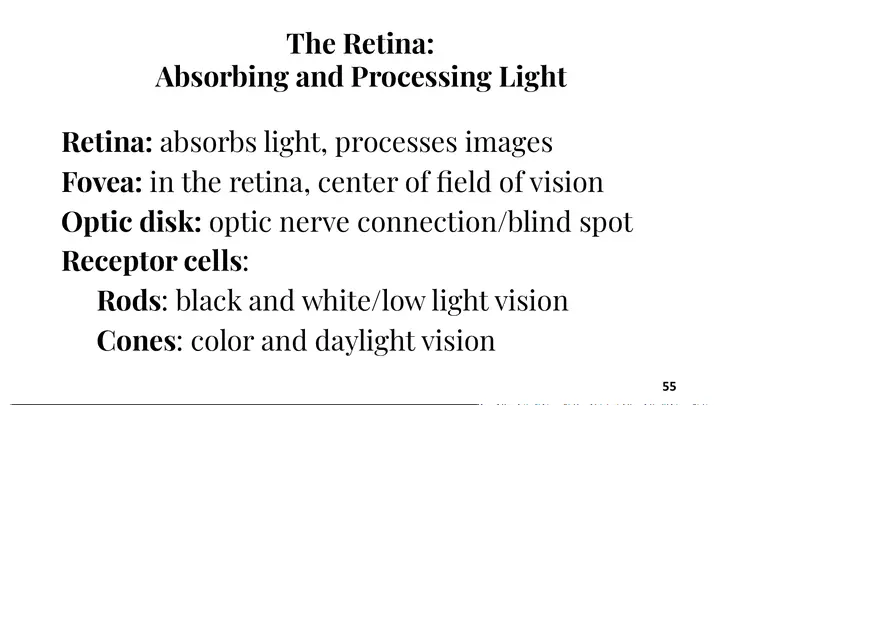 Unit 3 The Eye-Vision - Page 13