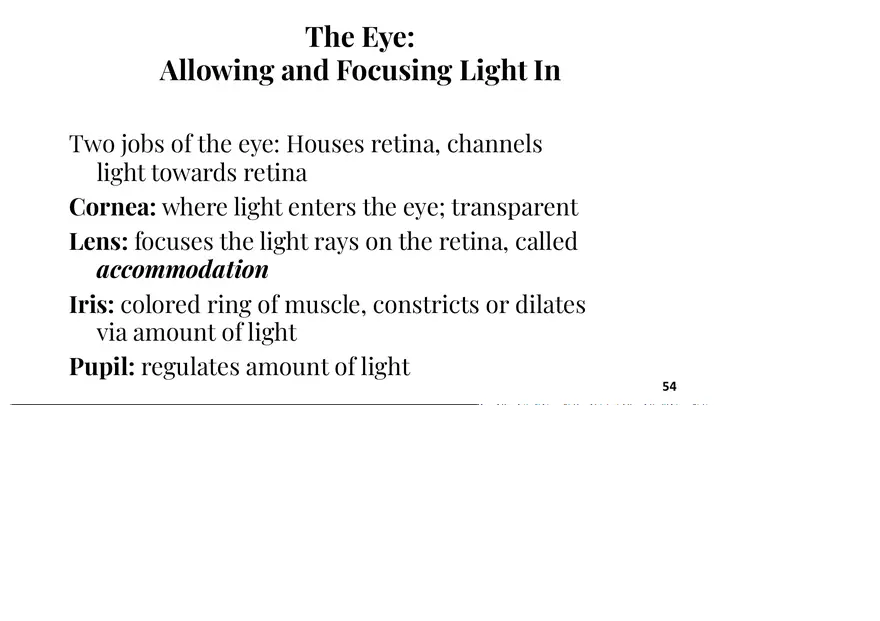 Unit 3 The Eye-Vision - Page 2