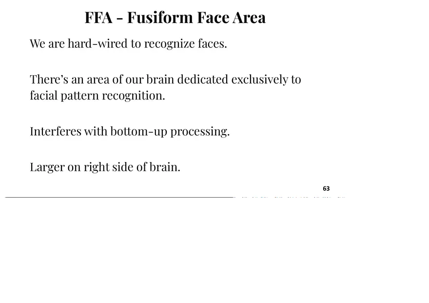 Unit 3 The Eye-Vision - Page 3