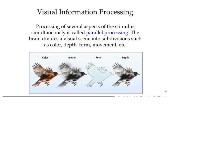 Unit 3 The Eye-Vision - Page 6