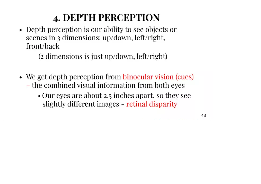 Unit 3 Principles of Perception - Page 10