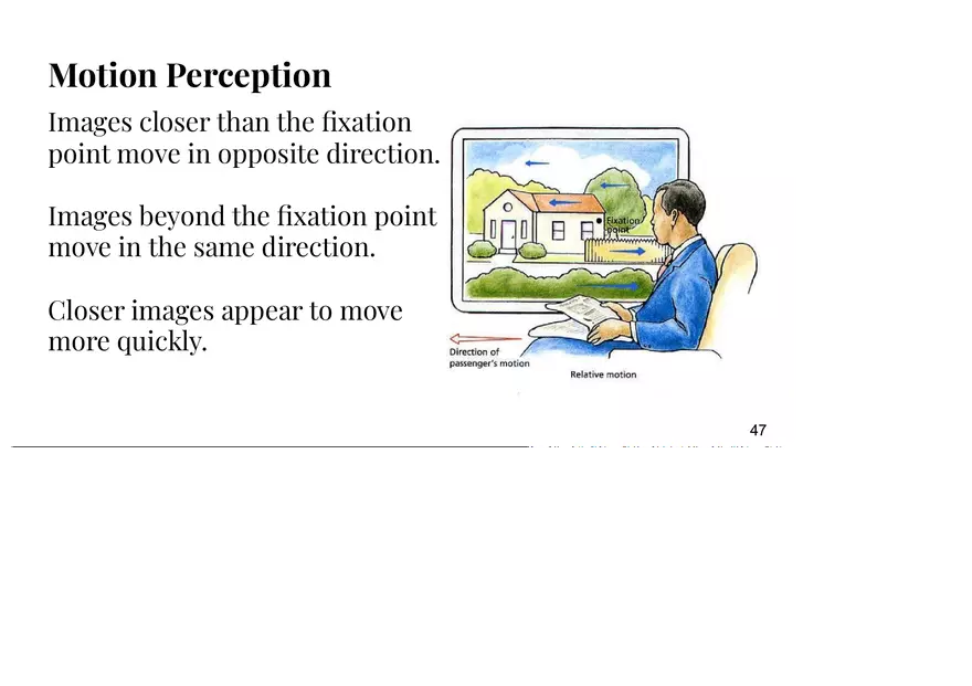 Unit 3 Principles of Perception - Page 15