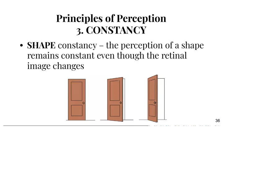 Unit 3 Principles of Perception - Page 3