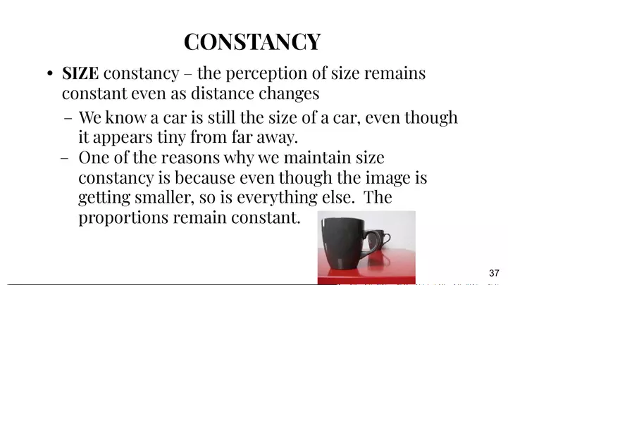 Unit 3 Principles of Perception - Page 4