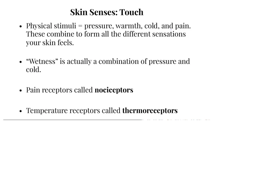 Unit 3 The Skin Senses - Page 1