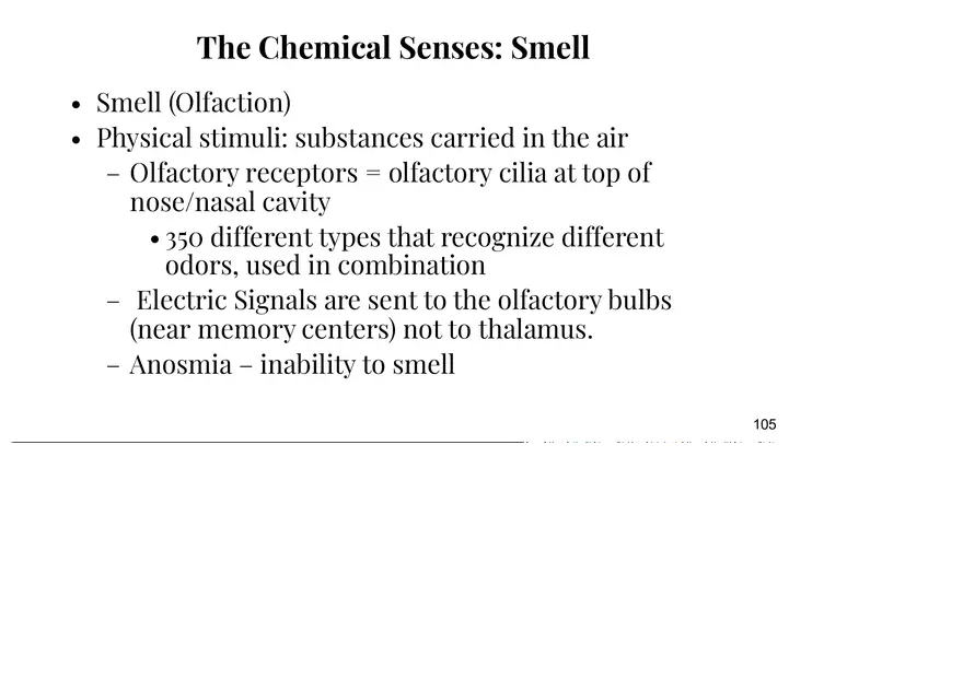 Unit 3 The Chemical Senses - Page 3