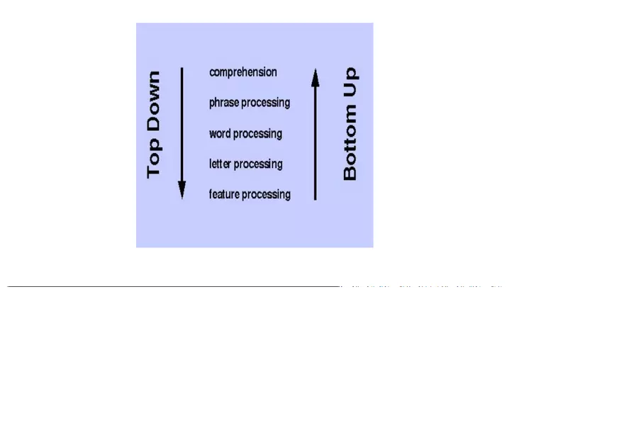 Unit 3 Principles of Sensation - Page 12