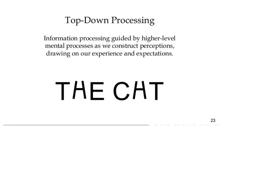 Unit 3 Principles of Sensation - Page 14
