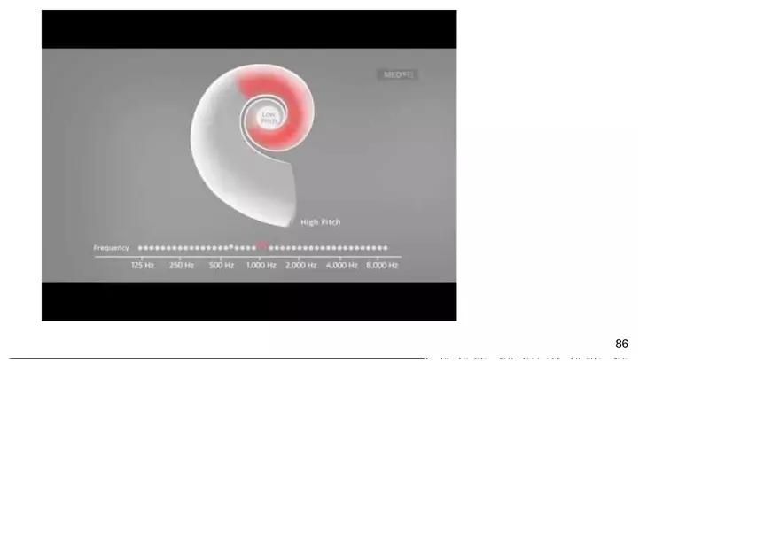 Unit 3 The Ear-Auditory - Page 3